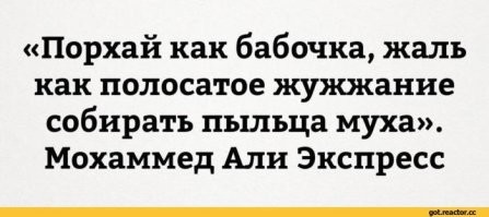 Кот наверное, этим вдохновился...))