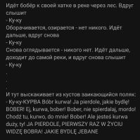 "Какой бобёр! Не сбегай, парень!": перевод того самого видео поляка, который встретил бобра
