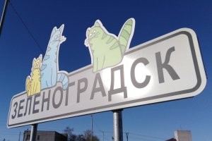 Коты там себя чувствуют ооочень замечательно! И туристам радость.