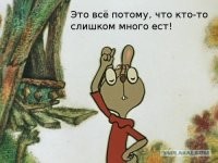 Собака попросила помощи у людей, чтобы они помогли её собрату выбраться из западни