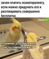 А вот интересно, chatGPT скоро заменит всяких психологов?