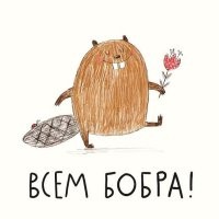 25 историй, напоминающих о том, что в мире есть добро