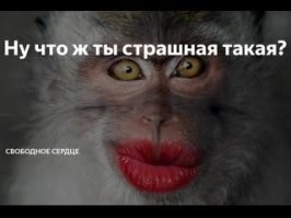 "Потому что любой парень захочет меня поцеловать!": как сбить корону с головы зазнавшейся девушки