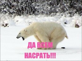 Московский суд начал слушать дело о Максиме Галкине