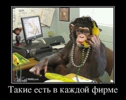 В Индии обезьяна вписалась в рабочий коллектив госучреждения