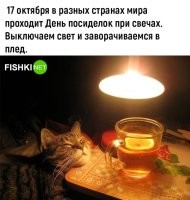 Правильно! Шерсть отлично горит!