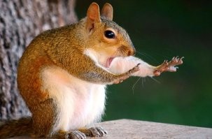 Збагойствие...