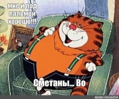 Люди из разных уголков мира рассказали о плюсах и минусах проживания в их странах