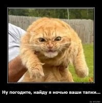 Зачем многие животные таскают своих детёнышей за шкирку?