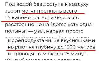 То есть ныряют и всё. Обратно никак. 

"Съесть вкусняшку и умереть." 

Жесть какая...