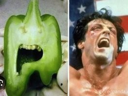 Сука, тузика продал, что потом выкупил уже не в счёт!