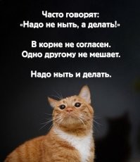 Скрины из соцсетей&nbsp;