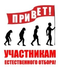 Боксёры из Ингушетии и Северной Осетии выясняли отношения вне ринга