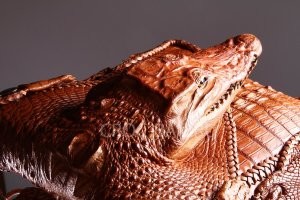 Тут чистый инстинкт крокодила. Видно как укротитель отряхивает ногу от воду  (0:42).
Но видно поторопился.  Когда что то касается языка крокодила, тот захлопывает пасть. Достаточно капли воды... Что и произошло.