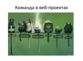 Кормёжка стаи голодных галаго