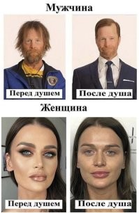 Мокрые и смешные: животные до и после душа