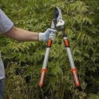 У меня секатор. Точнее - три разных(и бензопила). Намного удобнее, чем топор и мачете.