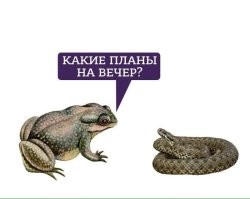 Французская монахиня уложила экоактивиста, протестовавшего против строительства церкви