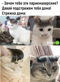 Я думаю стрижка дома должна выглядеть как-то так.