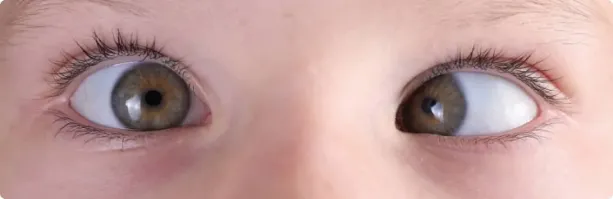 Самой красивой футболистке мира приходится отбиваться от непристойных предложений