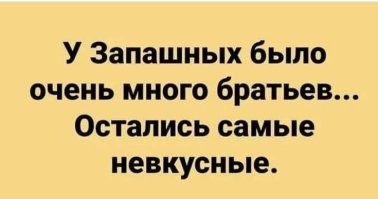 Братьев Запашных вызвали в Госдуму и потребовали объяснений за жестокое обращение с животными