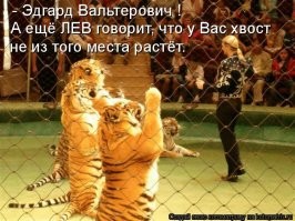 Братьев Запашных вызвали в Госдуму и потребовали объяснений за жестокое обращение с животными