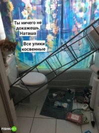 25 случаев, когда питомцы напрочь забыли о хороших манерах