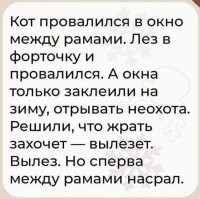 25 случаев, когда питомцы напрочь забыли о хороших манерах