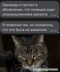 Студент получил 15 тысяч рублей штрафа за гонки с полицейскими: с наездом на двух силовиков, стрельбой и жёстким задержанием