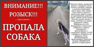 В Махачкале четыре ученика мусульманской школы отравились сочной шаурмой