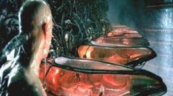 Скрины из соцсетей&nbsp;