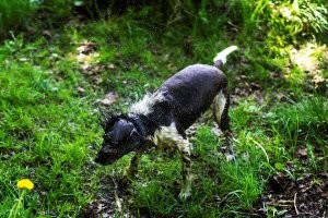 Мой <span style='color:gray'>[мат]</span>