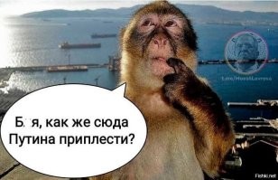 Илона Маска восхитила станция метро "Автово" в Санкт-Петербурге