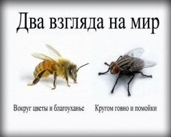 Обсуждается станции метро. МЕТРО бл@! Но найдется всегда идиот и насерет, причём абсолютно не в тему.