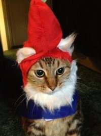 В данном случае это не "гном", а "карлик". Был бы гном - был бы с бородой, что-то типа этого: