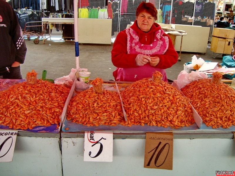 По десять??? а вчера были по пять...
