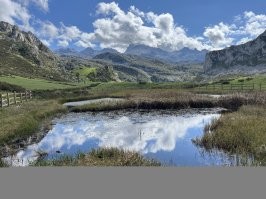 С добрым утром