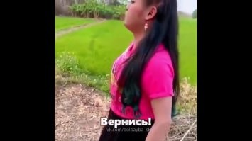 Собака пришла на помощь овцам, попавшим в беду