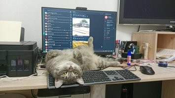 Ну как же без зверюшек-то. Скукота...
