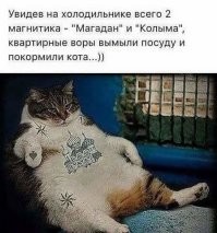 Красноярского художника оштрафовали за "тату" на игрушке-неваляшке