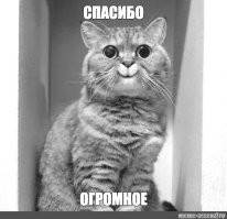 Красные флажки будущего психопата