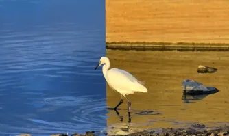 Всё понятно, кроме этого фото