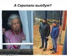 Французские СМИ обвинили Россию в нашествии клопов
