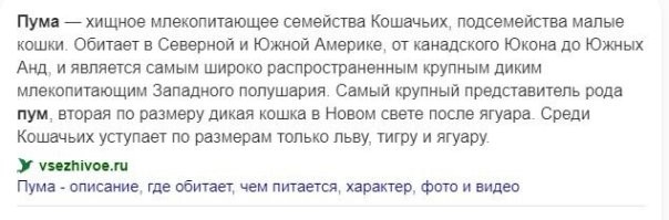 Моя лапа всегда будет сверху