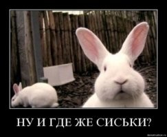 Девушка уменьшила грудь, но её решение раскритиковали