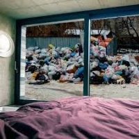 В США набирают популярность цифровые окна