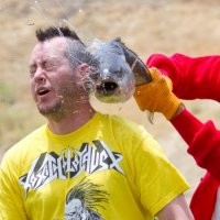 Что за невоспитанные люди поесть спокойно не дадут)