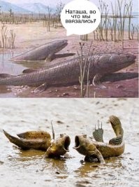 Вот так продюсер из "рыбы" делает "звезду".