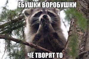 Продажный Майк