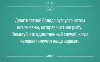 Морской котик рыбой побил смартфон блогера